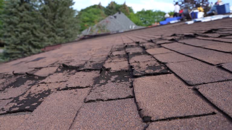 Best Roof Insulation Installation  in Clarion, IA