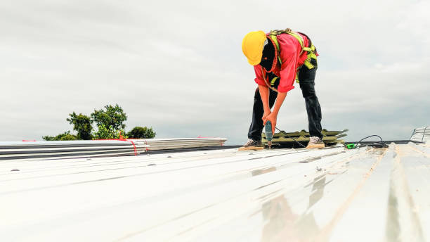Best Metal Roofing Installation  in Clarion, IA